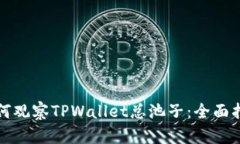 如何观察TPWallet总池子：全面指南