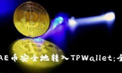 如何将AE币安全地转入TPWallet：全面指南