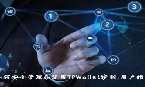 如何安全管理和使用TPWallet密钥：用户指南