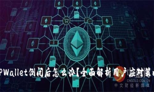 TPWallet倒闭后怎么办？全面解析用户应对策略