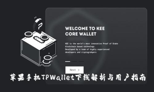 苹果手机TPWallet下线解析与用户指南