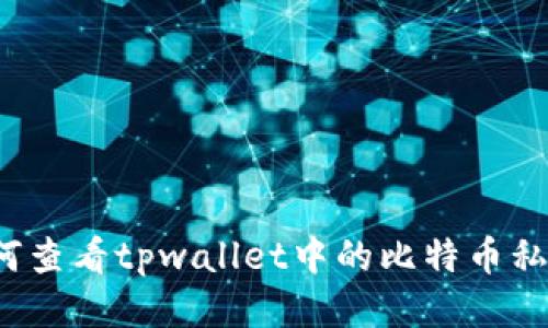 如何查看tpwallet中的比特币私钥？