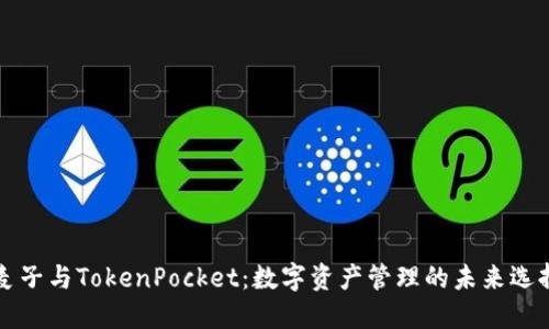 麦子与TokenPocket：数字资产管理的未来选择