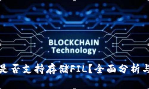 tpwallet是否支持存储FIL？全面分析与使用指南