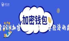 探索DRM加密货币：未来数字经济的先锋