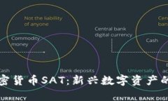 深入了解加密货币SAT：新