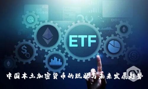 中国本土加密货币的现状与未来发展趋势