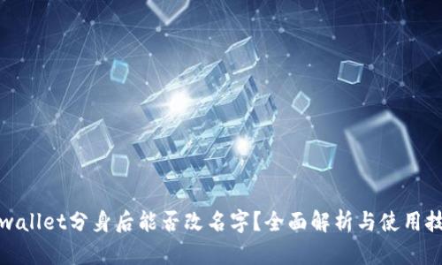 tpwallet分身后能否改名字？全面解析与使用技巧