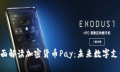 ziaoti全面解读加密货币P