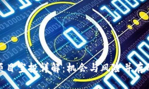 加密货币项目空投详解：机会与风险并存的投资策略