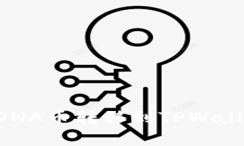 如何将元界DNA币转移到TPWallet：详细指南