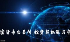 毛里求斯加密货币交易所：投资新机遇与市场现