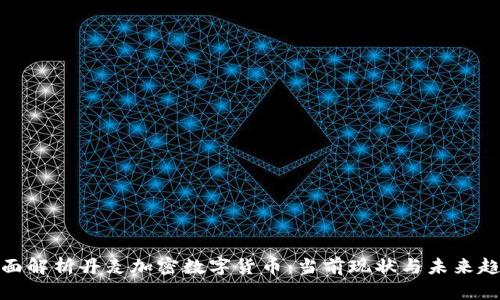 全面解析丹麦加密数字货币：当前现状与未来趋势
