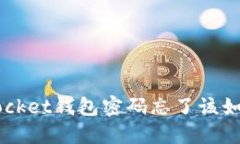 TokenPocket钱包密码忘了该如