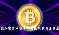 中国加密货币项目的发展
