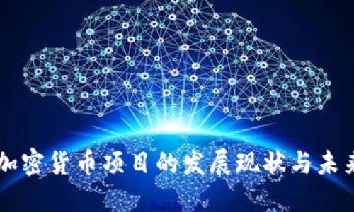 中国加密货币项目的发展现状与未来展望