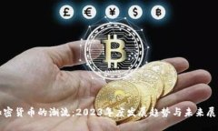 加密货币的潮流：2023年度