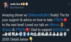 全球对加密货币的支持现