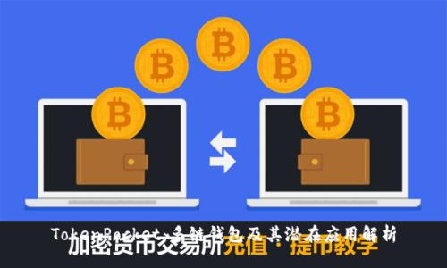 TokenPocket：多链钱包及其潜在应用解析