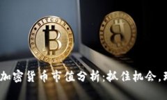 2023年投资加密货币市值分