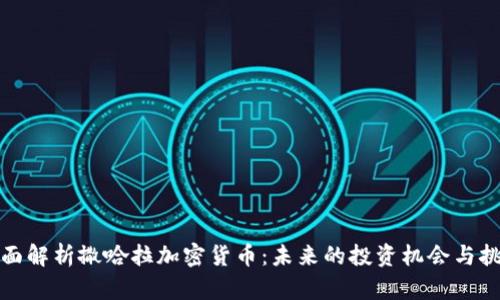 全面解析撒哈拉加密货币：未来的投资机会与挑战