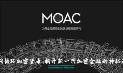 黑洞循环加密货币：揭开