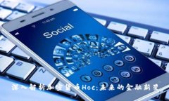 深入解析加密货币Hoc：未