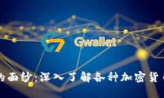 揭开加密货币的面纱：深