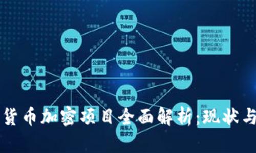 中国货币加密项目全面解析：现状与未来