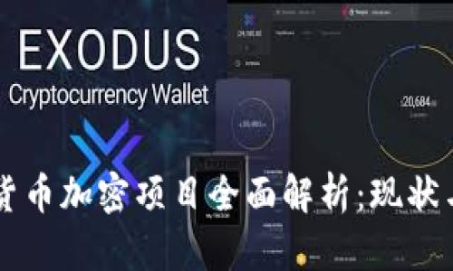中国货币加密项目全面解析：现状与未来