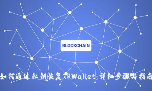 如何通过私钥恢复TPWallet：详细步骤与指南