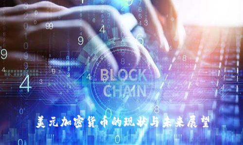 美元加密货币的现状与未来展望