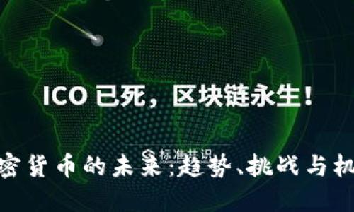 加密货币的未来：趋势、挑战与机遇