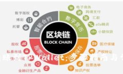 如何将BSV转账到TPWallet：步骤指南与常见问题解答