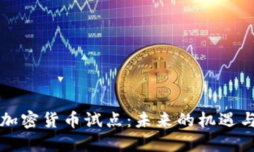 美国加密货币试点：未来的机遇与挑战