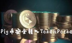 如何将Pig币安全转入Toke