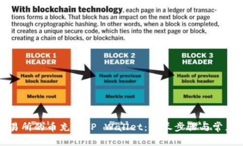 如何将交易所的币充入TP Wallet：详尽步骤与常见问题解答