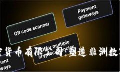 尼日利亚加密货币有限公