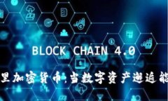 卡尔加里加密货币：当数