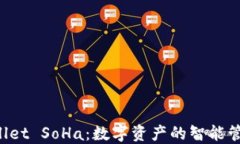 TP Wallet SoHa：数字资产的智