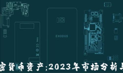 
比特币加密货币资产：2023年市场分析与投资指南