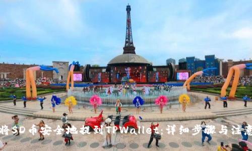 如何将SD币安全地提到TPWallet：详细步骤与注意事项