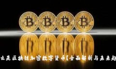 什么是区块链加密数字货