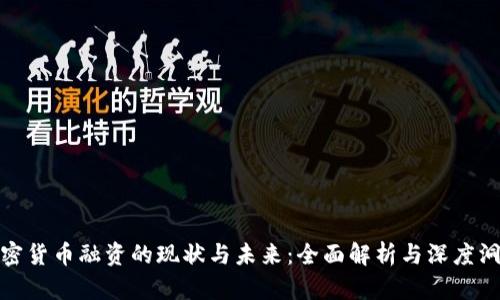 加密货币融资的现状与未来：全面解析与深度洞察