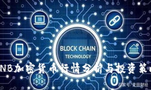 BNB加密货币行情分析与投资策略