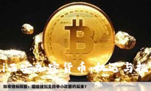 biamti西安加密货币：机遇与挑战解析