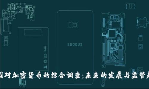 英国对加密货币的综合调查：未来的发展与监管趋势