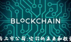 加密货币与上市公司：它
