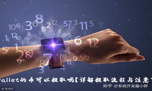 tpwallet的币可以提取吗？详解提取流程与注意事项
