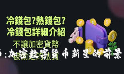 白鲸币：加密数字货币新星的前景与挑战